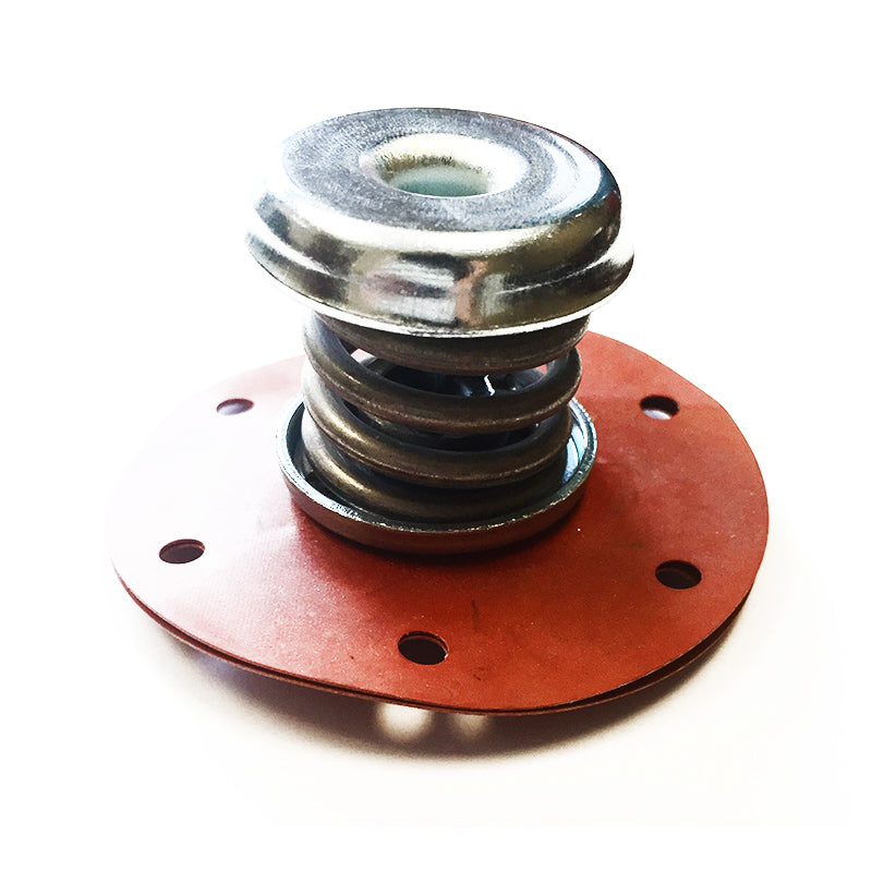 1986-1992 TPI Diaphragm and Spring Kit official supplier product photo